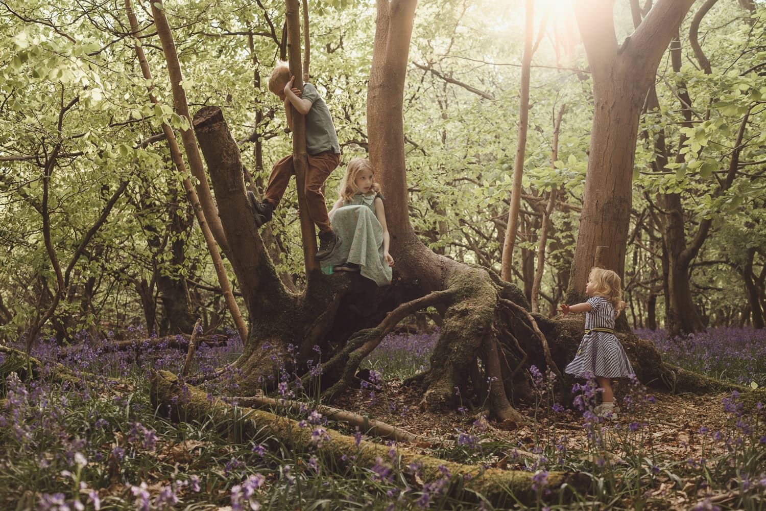 Two older siblings climb a tree in Marlow Common while their younger sister watches.