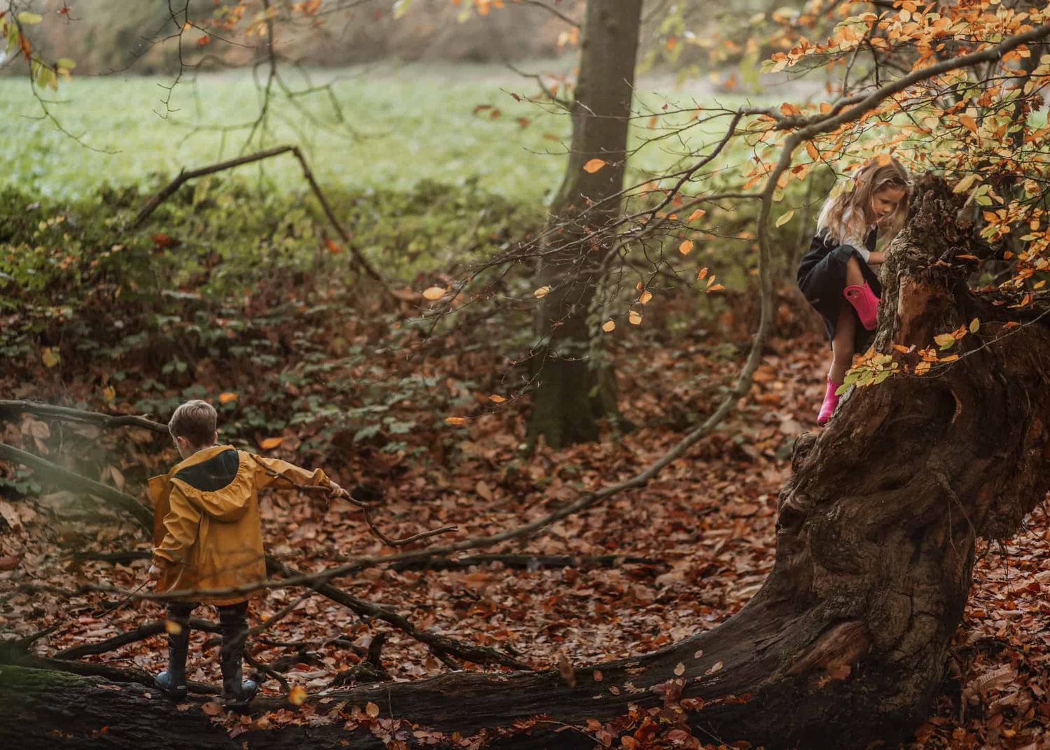 Two siblings play on a fallen tree in Marlow Common.