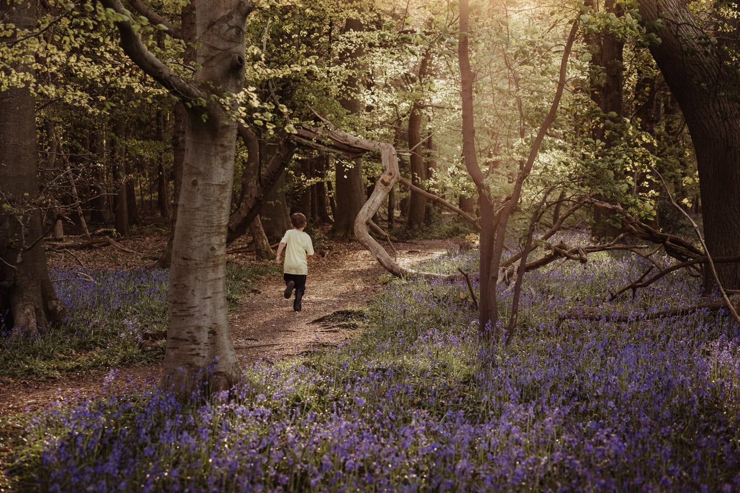 A young boy runs away from camera through a bluebell wood near Marlow.