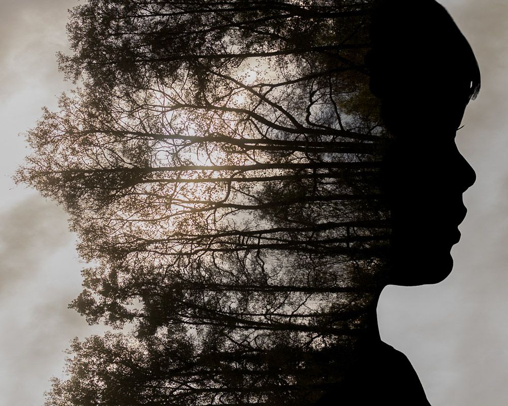 An image of a silhouette of a boys profile and forest trees.