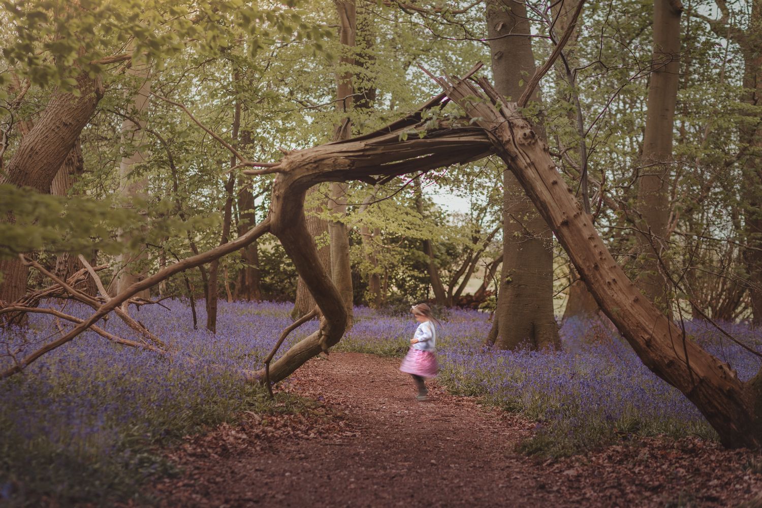 A little girl twirls on a path in the woods between Marlow and Maidenhead.