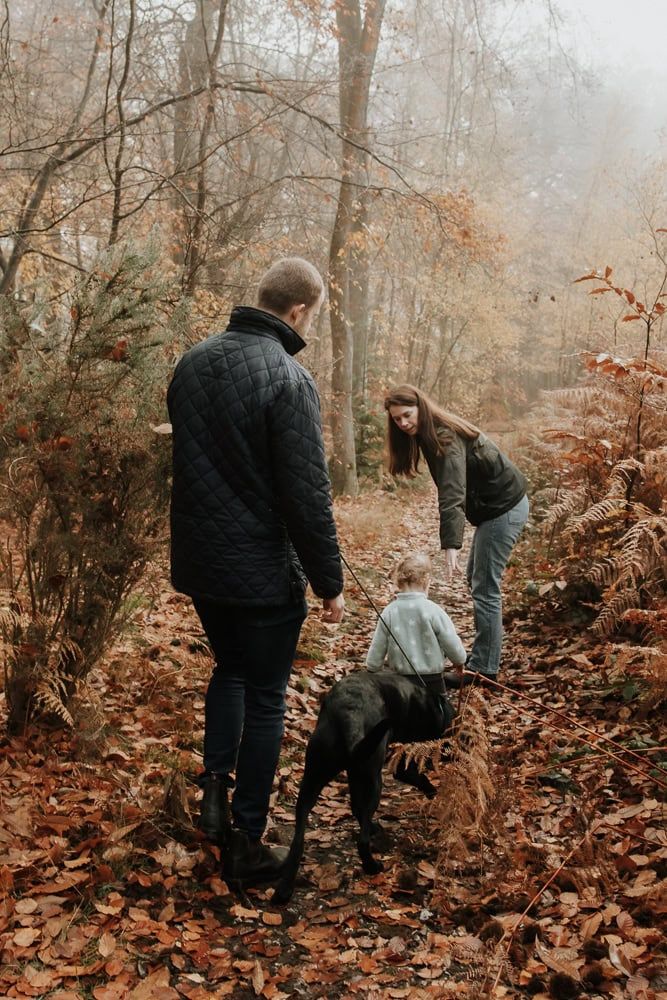 A family and their dog walking in Marlow Common in the autumn.