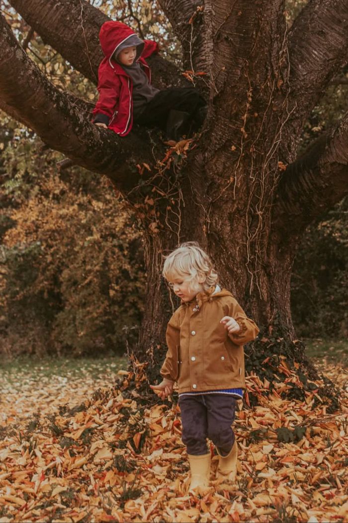 Two boys play on an autumn day: one sits in the branches of a tree while another runs through the fallen leaves below him.