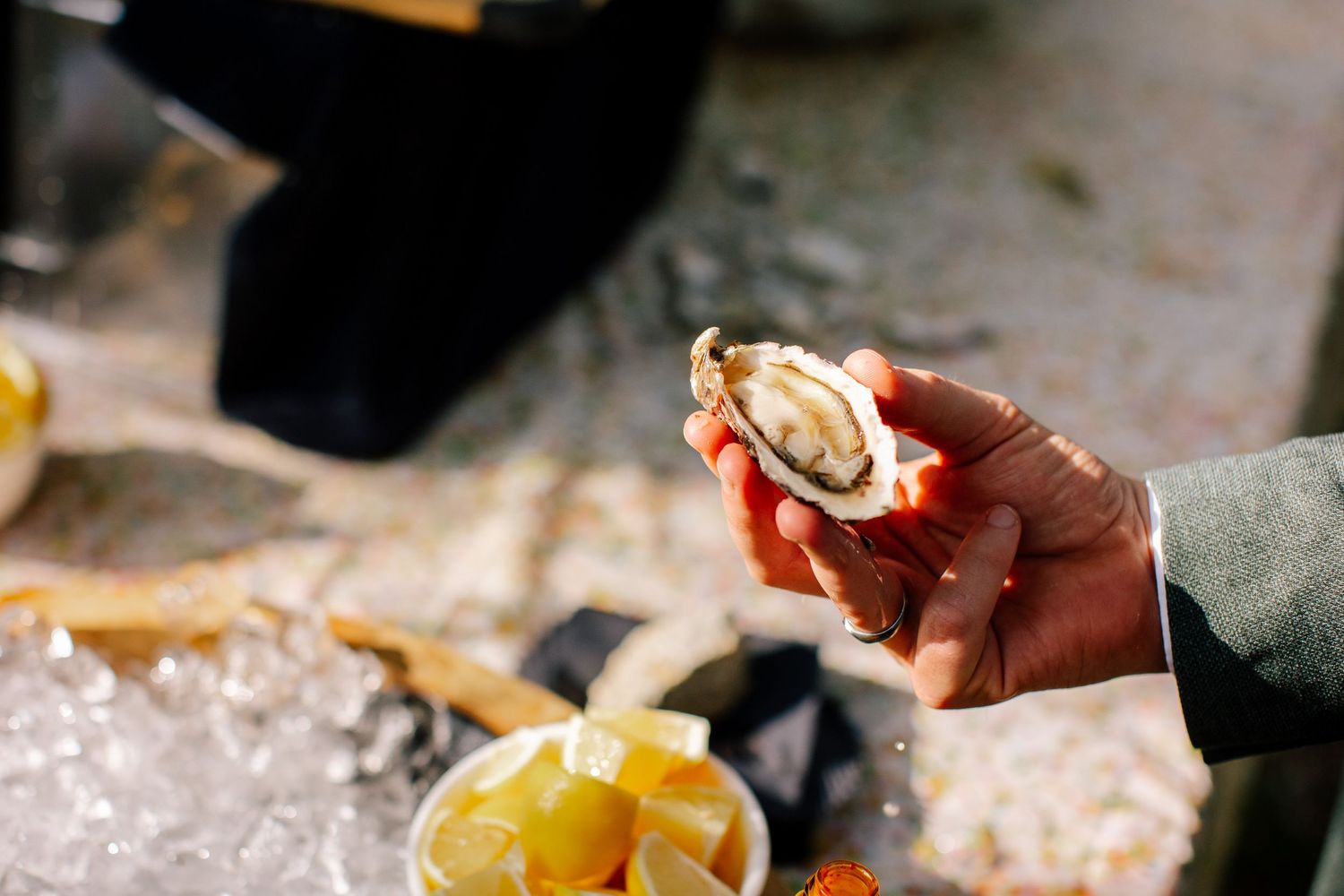 Fresh oysters at Glacier Valley Farm in Squamish, BC.