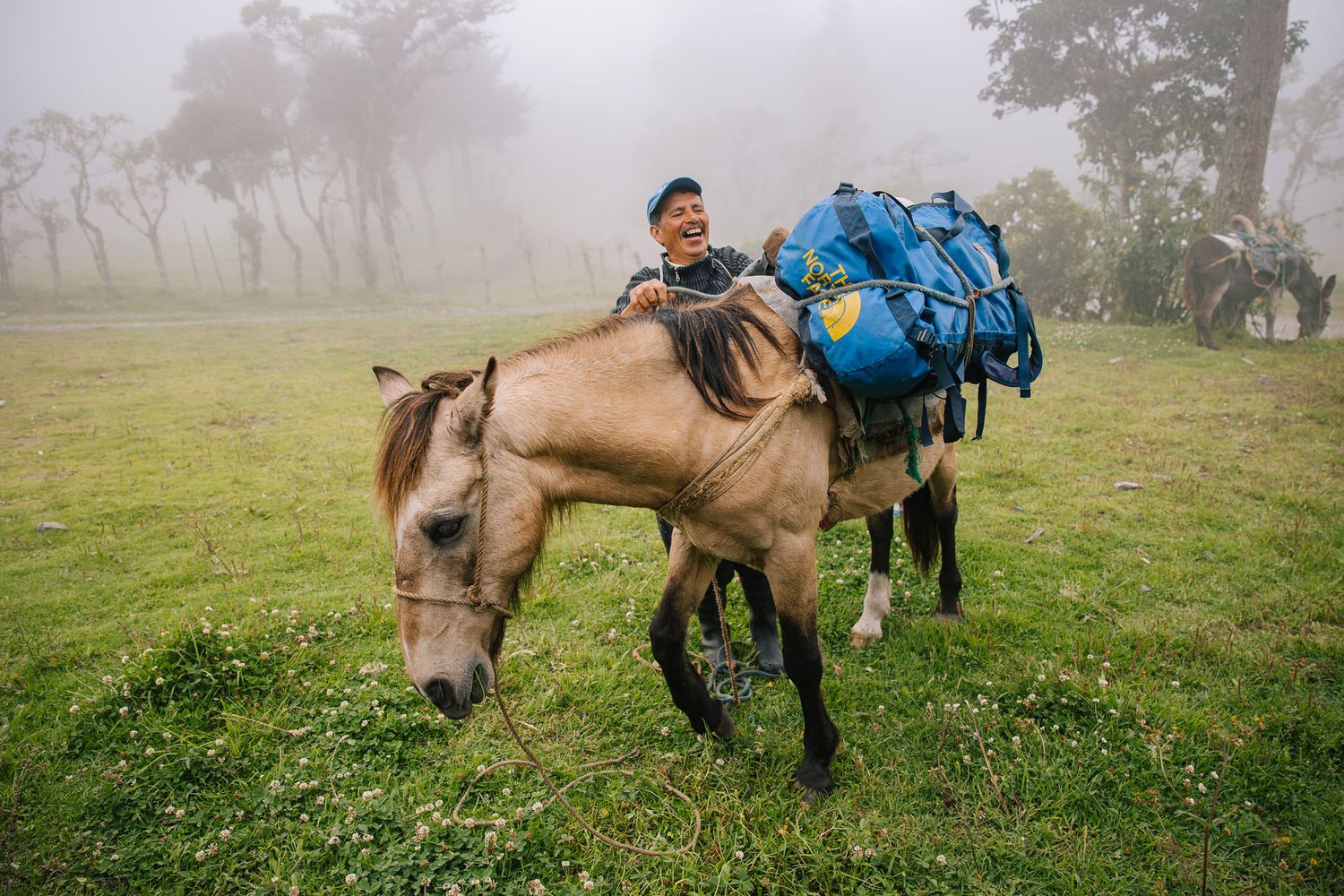 Pack horse standing in misty alpine meadow during backcountry trip.