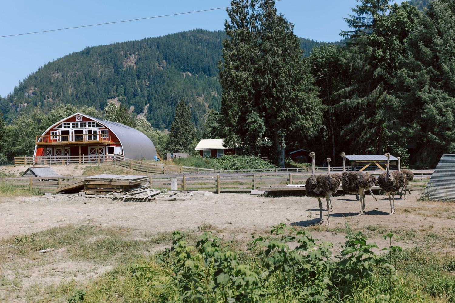 Glacier Valley Farm in Squamish, BC.