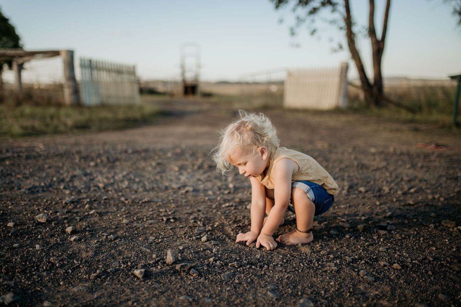 Outdoor sequence showing a small figure crawling on gravel ground at sunset.