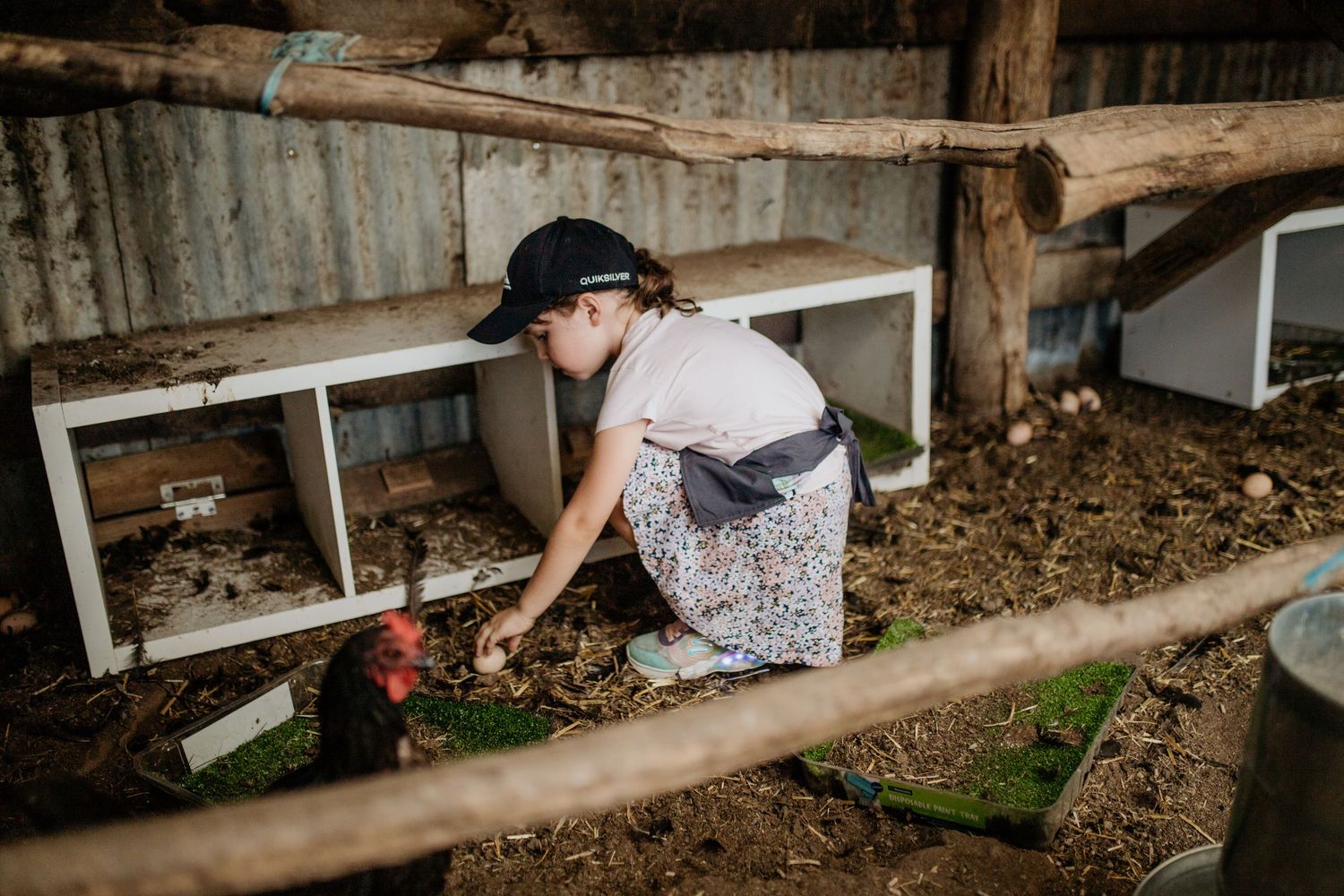A person in a floral dress and hat tends to chickens in a rustic farmyard setting.