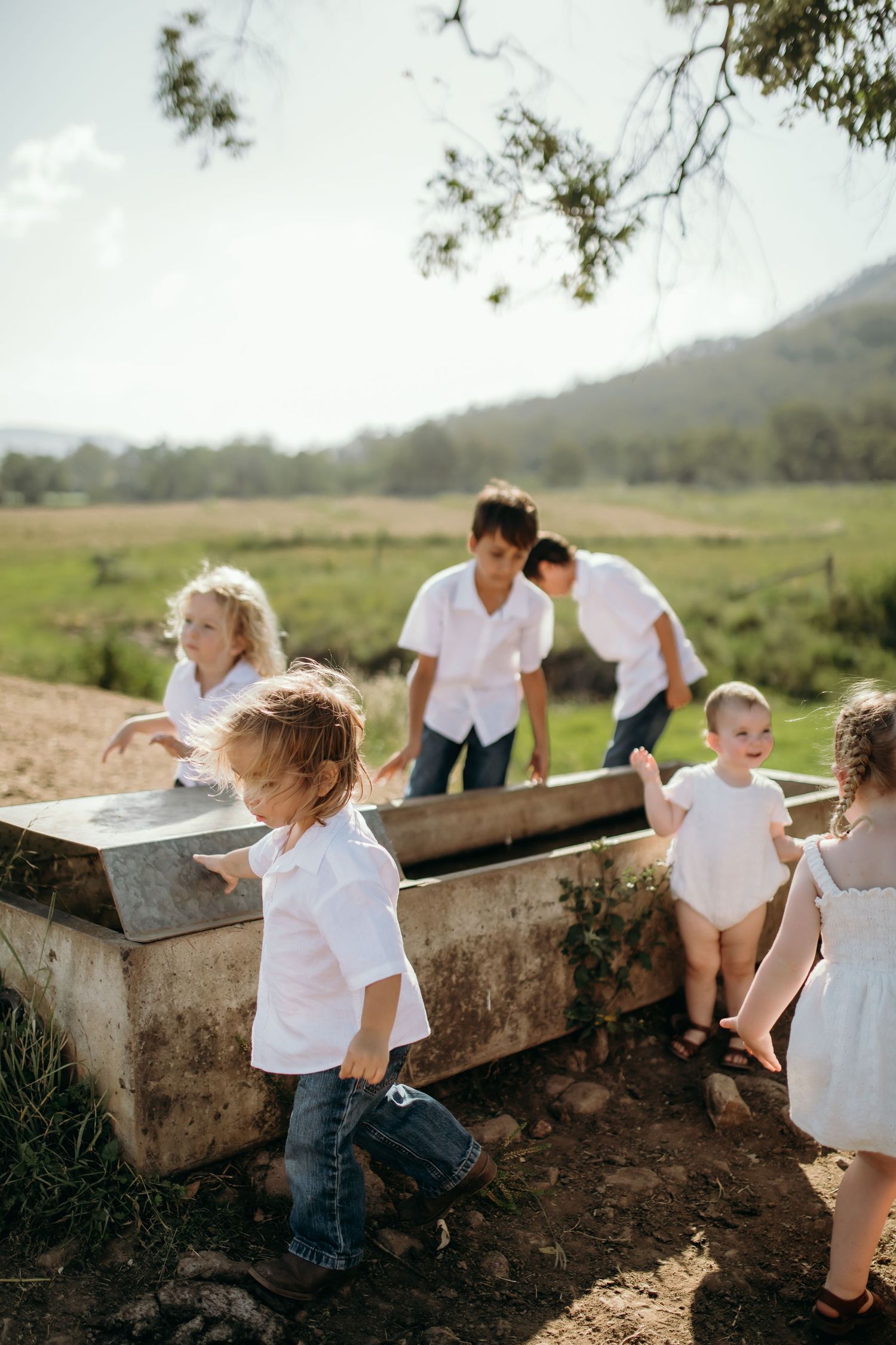 Children playing and exploring near a concrete trough outdoors in natural lighting.