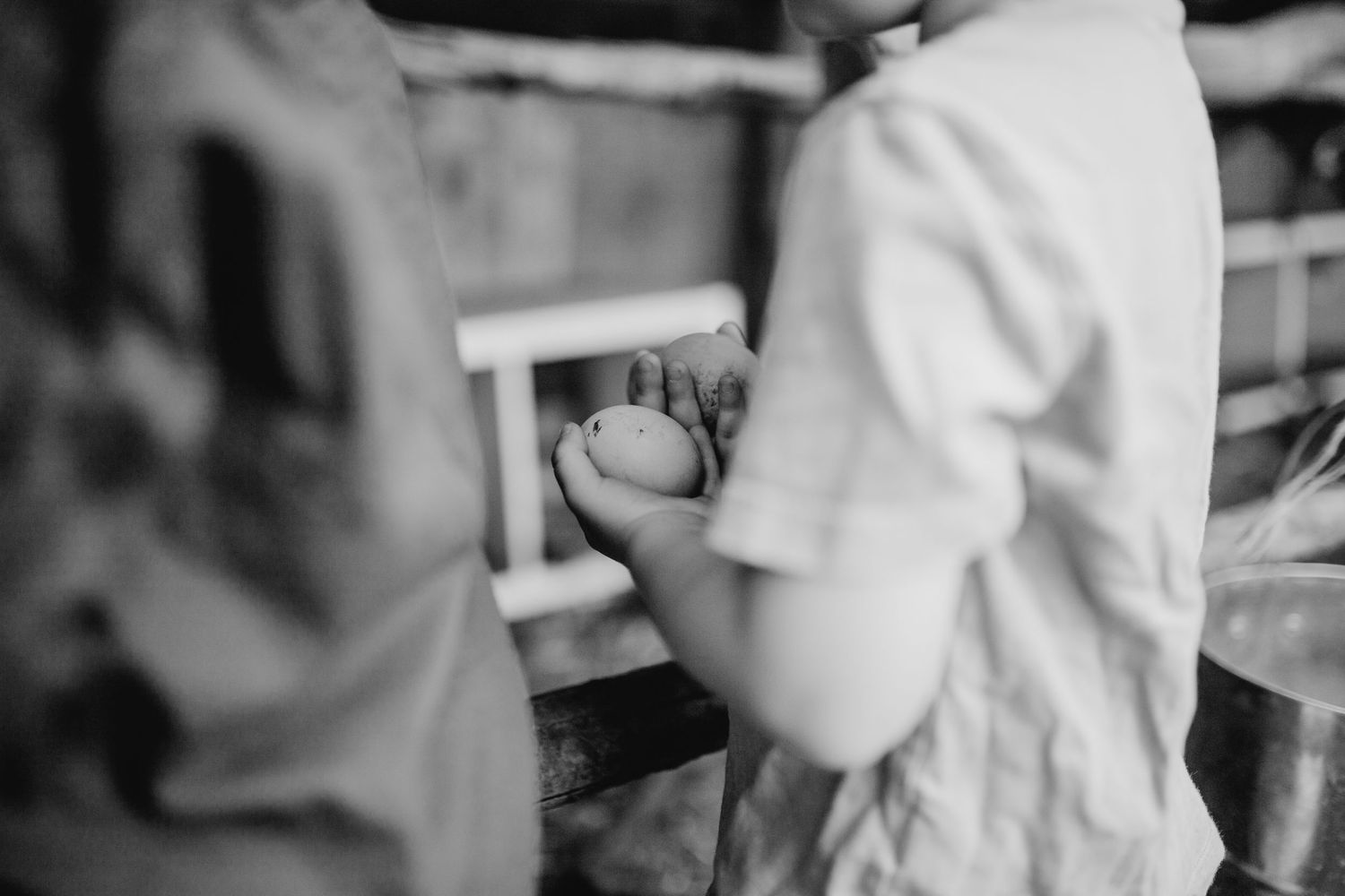 Children collecting eggs captured in soft black and white.