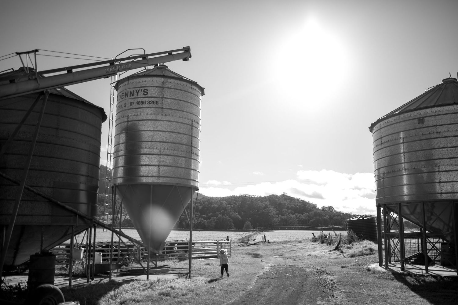 Dramatic black and white photograph of agricultural silos silhouetted against bright sunlight.