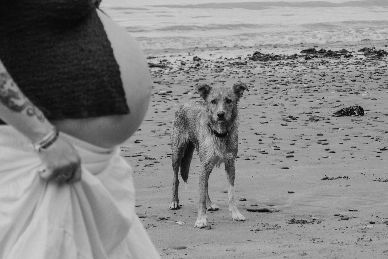 maternity session on the beach
