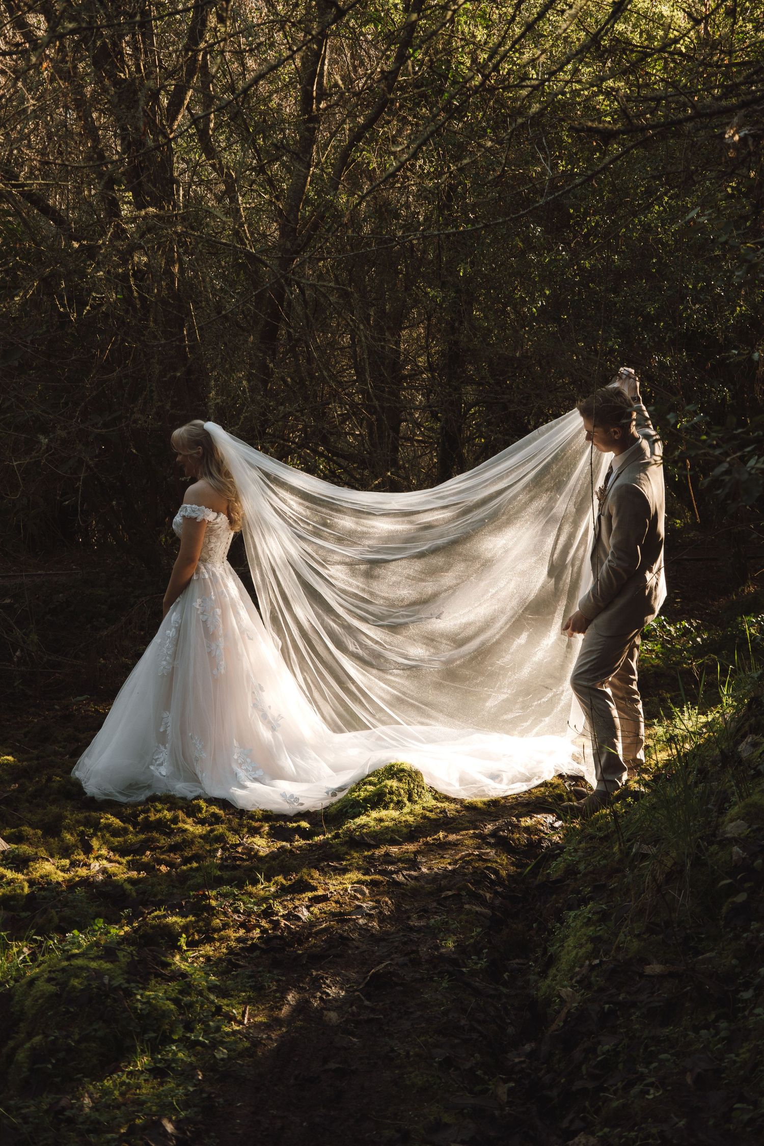 groom holding veil while light shines through