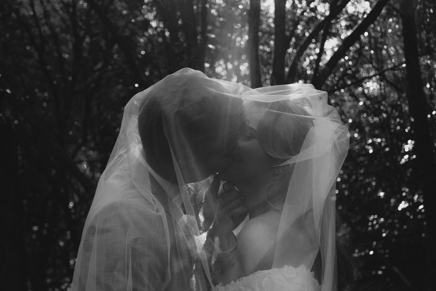 Bride and groom kissing under veil
