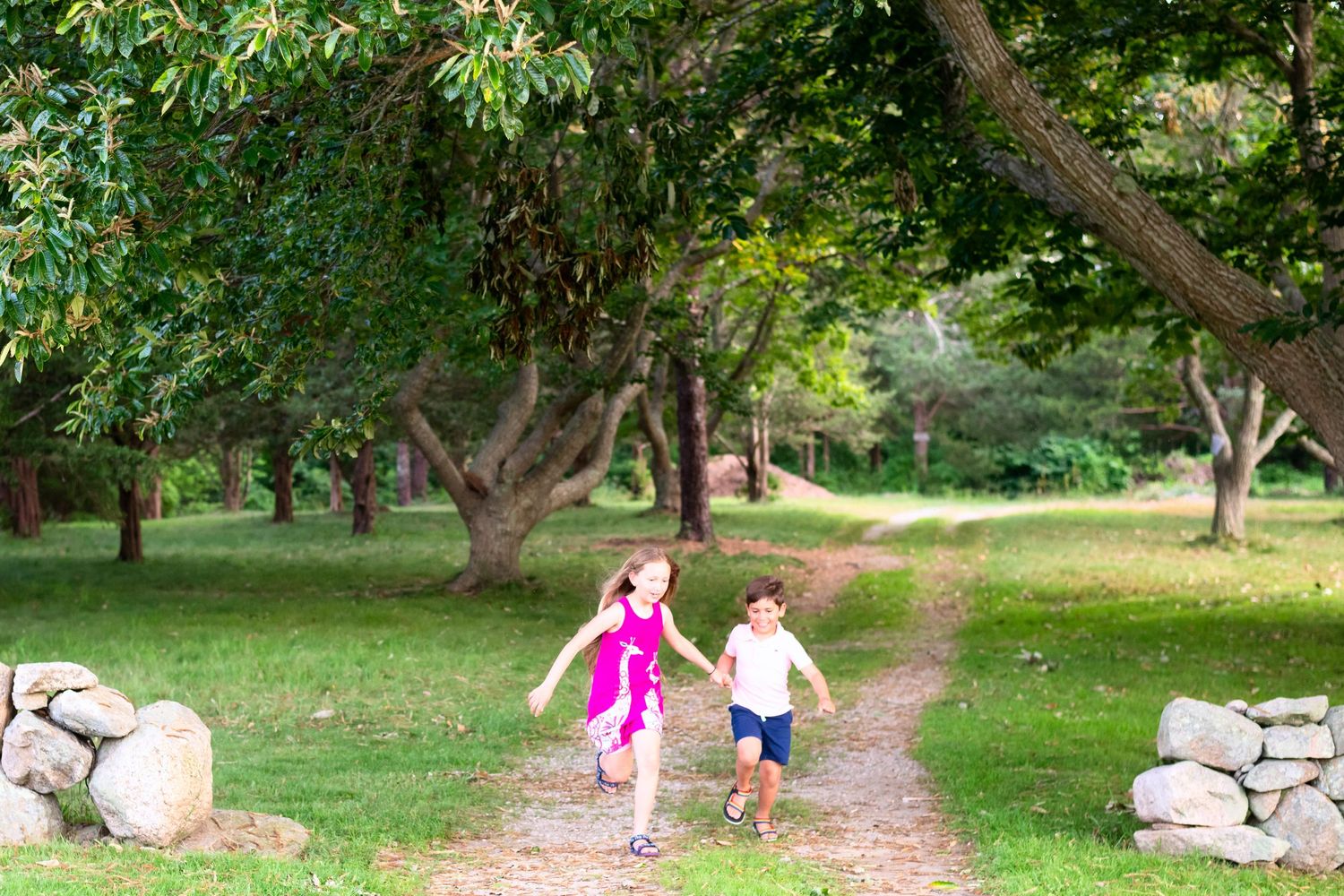 Stone wall path through green park with trees creating natural archway.