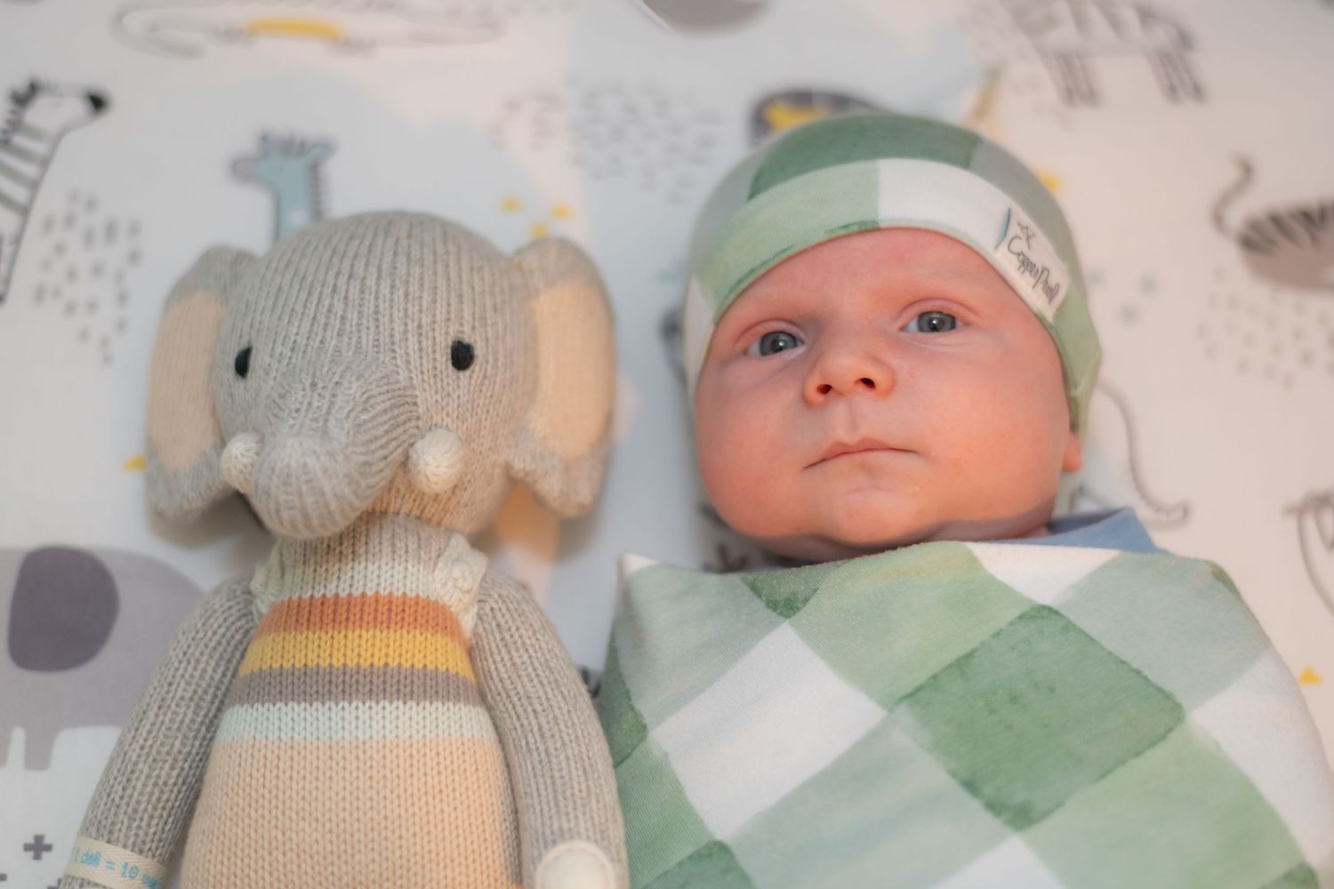 Multiple newborn babies wearing soft knit hats and outfits lying on patterned bedding.