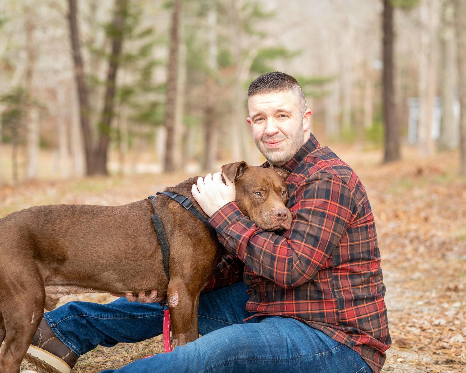 A brown dog plays outdoors with its owner on fallen autumn leaves.