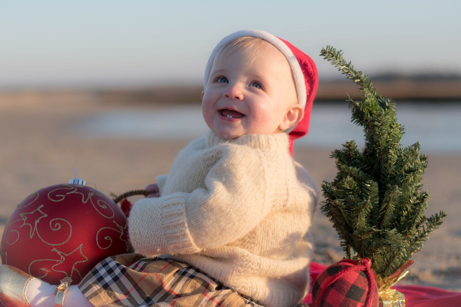 Holiday decorations and ornaments arranged on sandy beach with greenery.