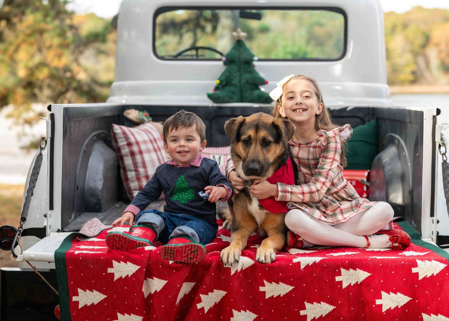 Four dogs with their heads resting on the back of a truck bed with a red and white patterned blanket.