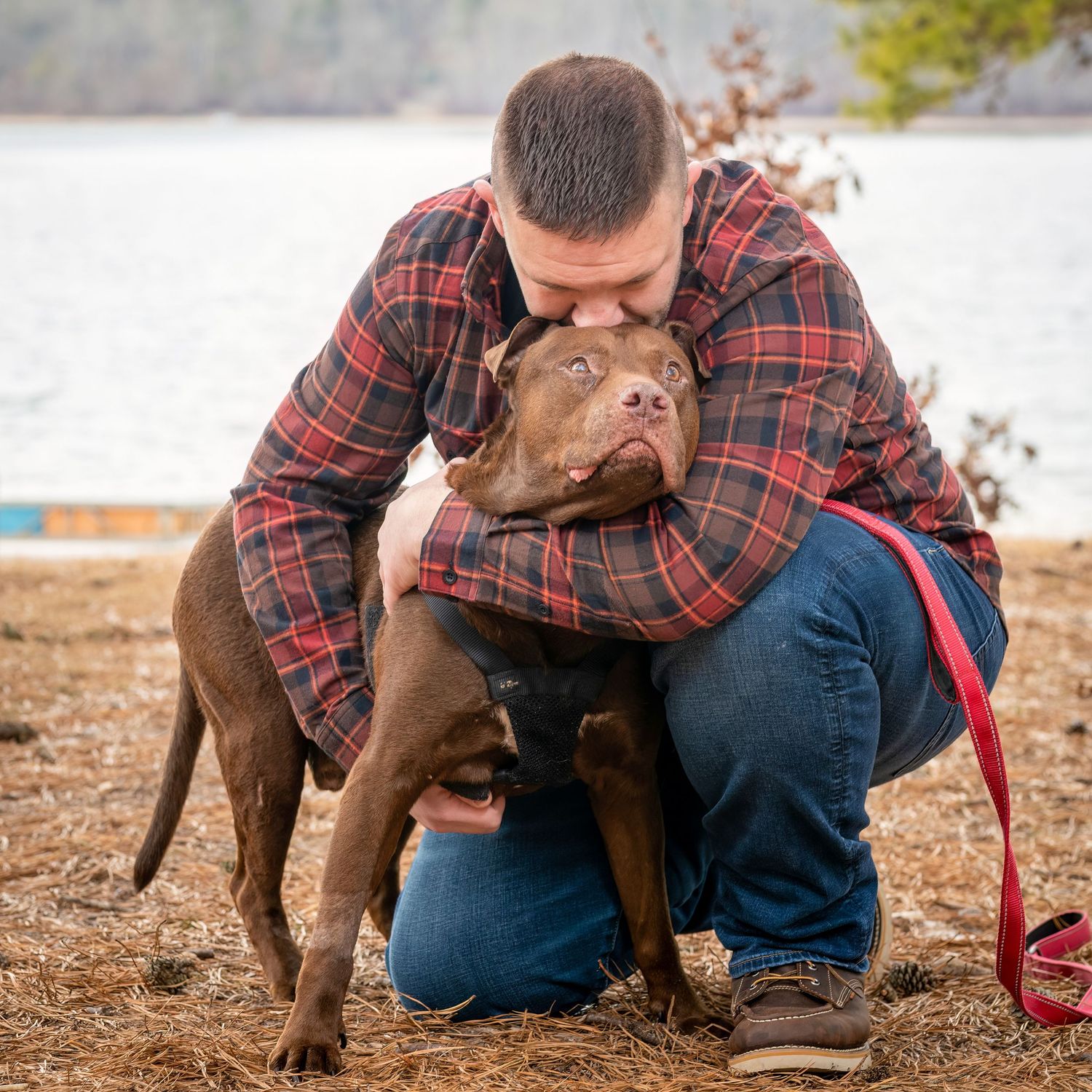 Brown dog playing and bonding with owner wearing plaid shirt outdoors.