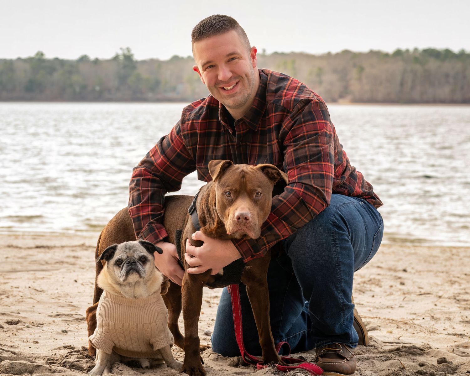 Three dogs and their companion enjoying a sunny day at the beach.