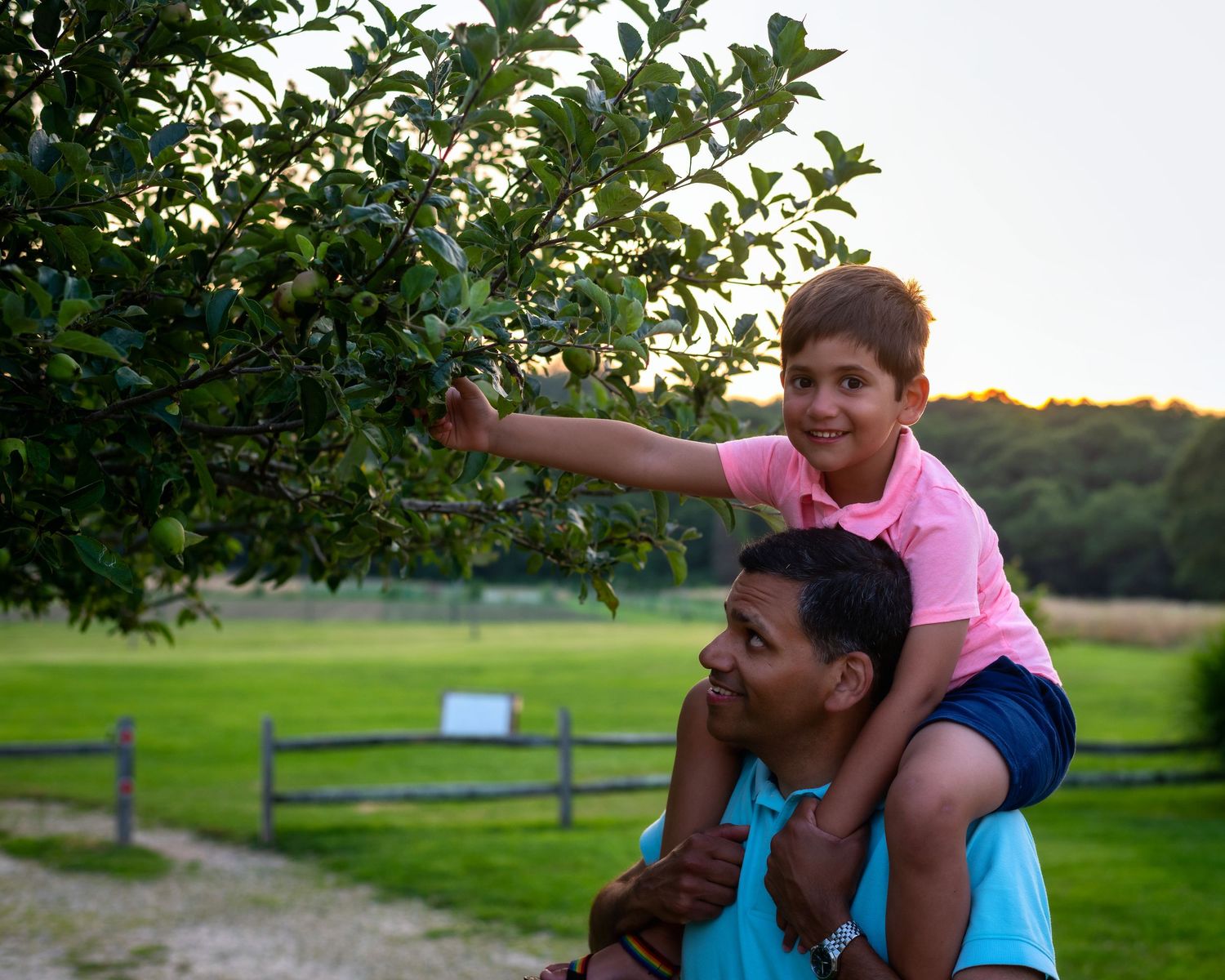 Playful outdoor scene with people enjoying a summer evening in a grassy field.