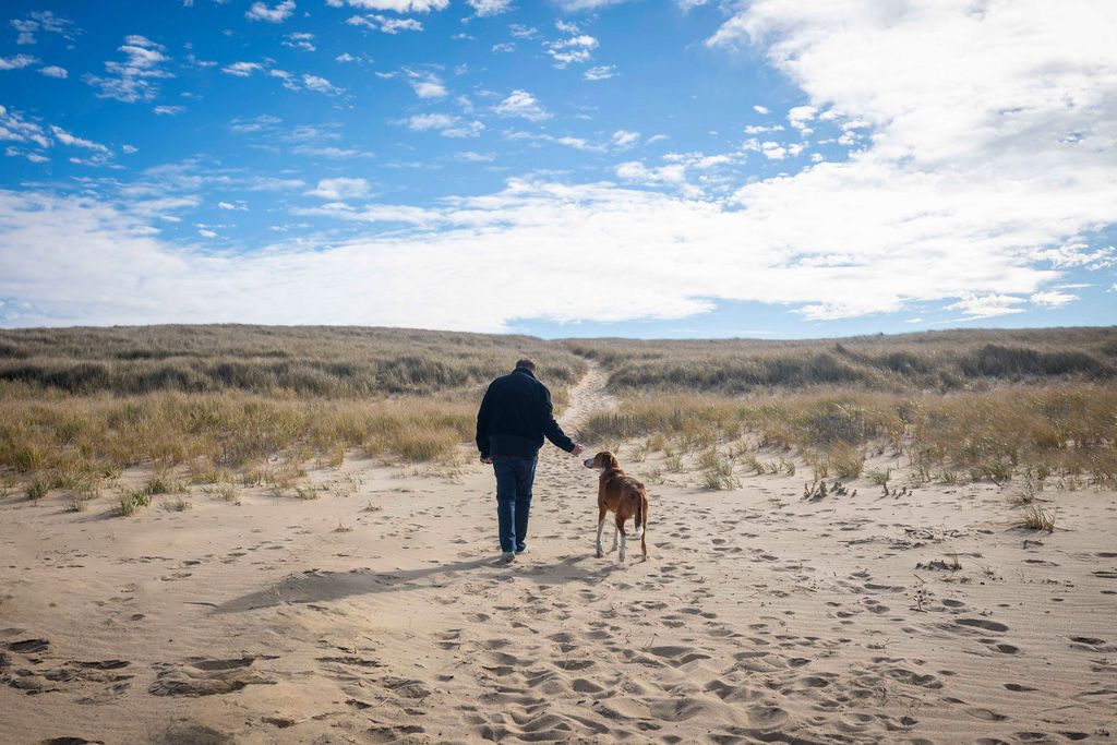 People and dogs walking along a sandy beach path under blue skies.