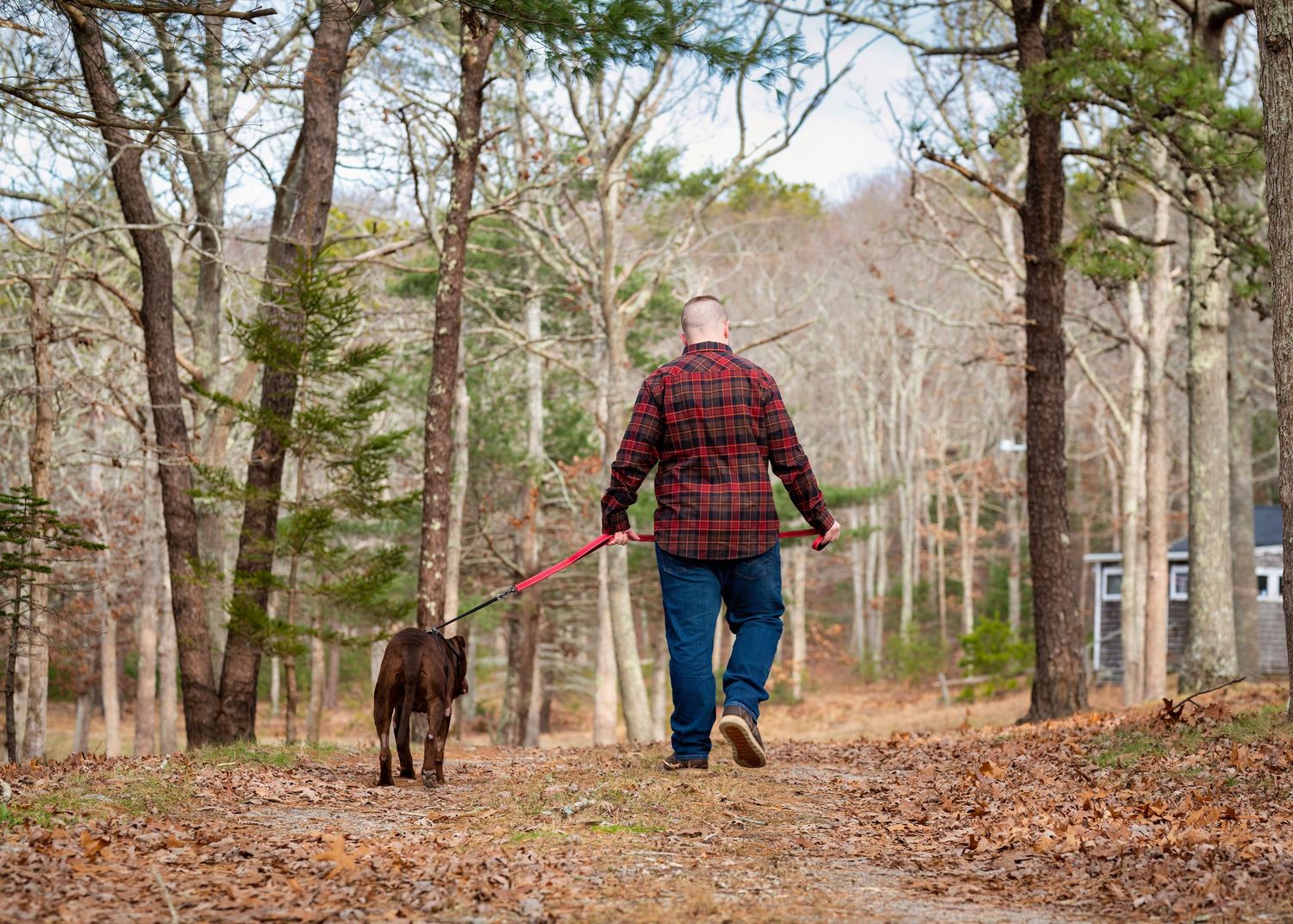 Person in red plaid shirt walking with dog on autumn forest trail.
