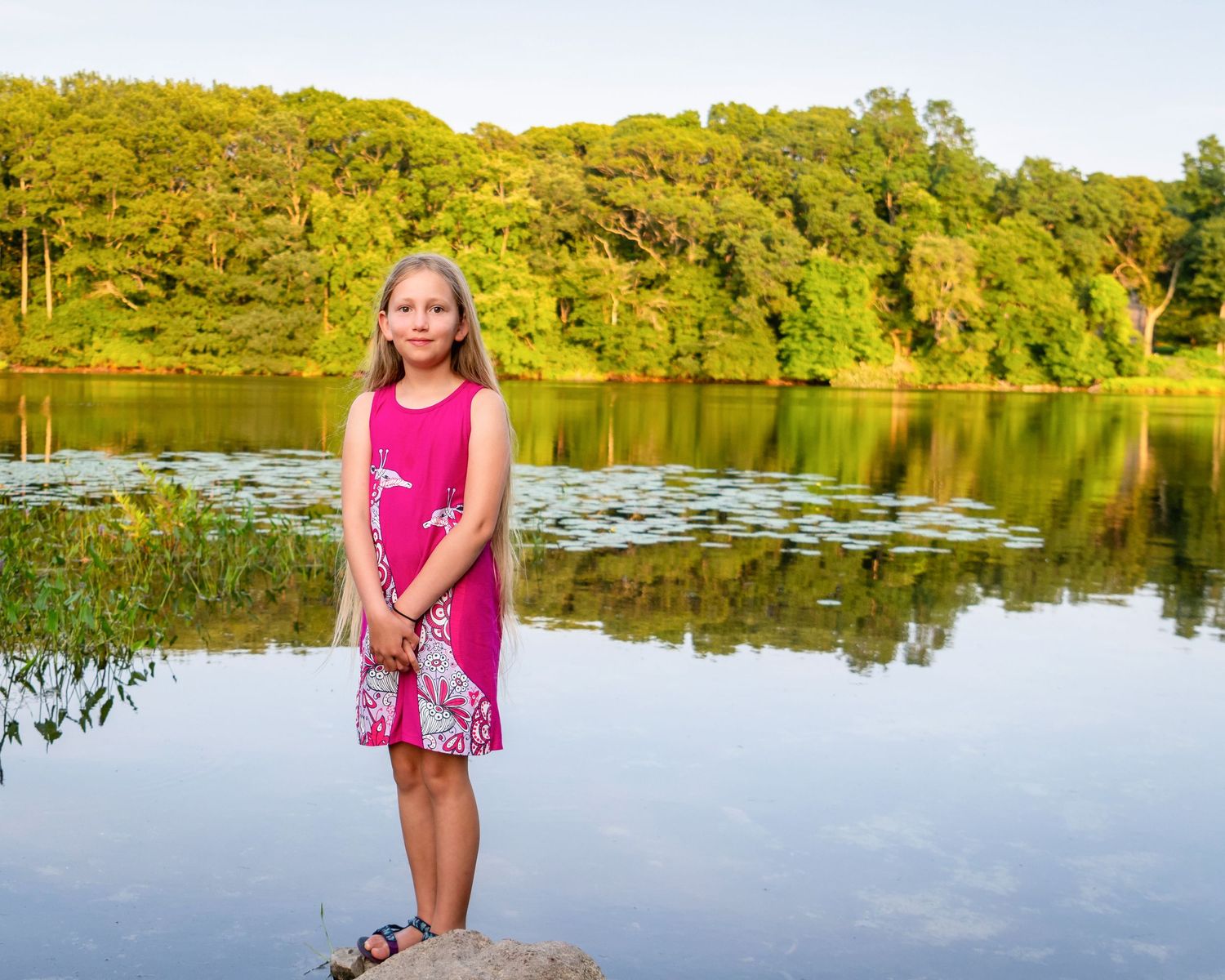 Peaceful lake scene with lily pads and reflective water surrounded by lush summer foliage.