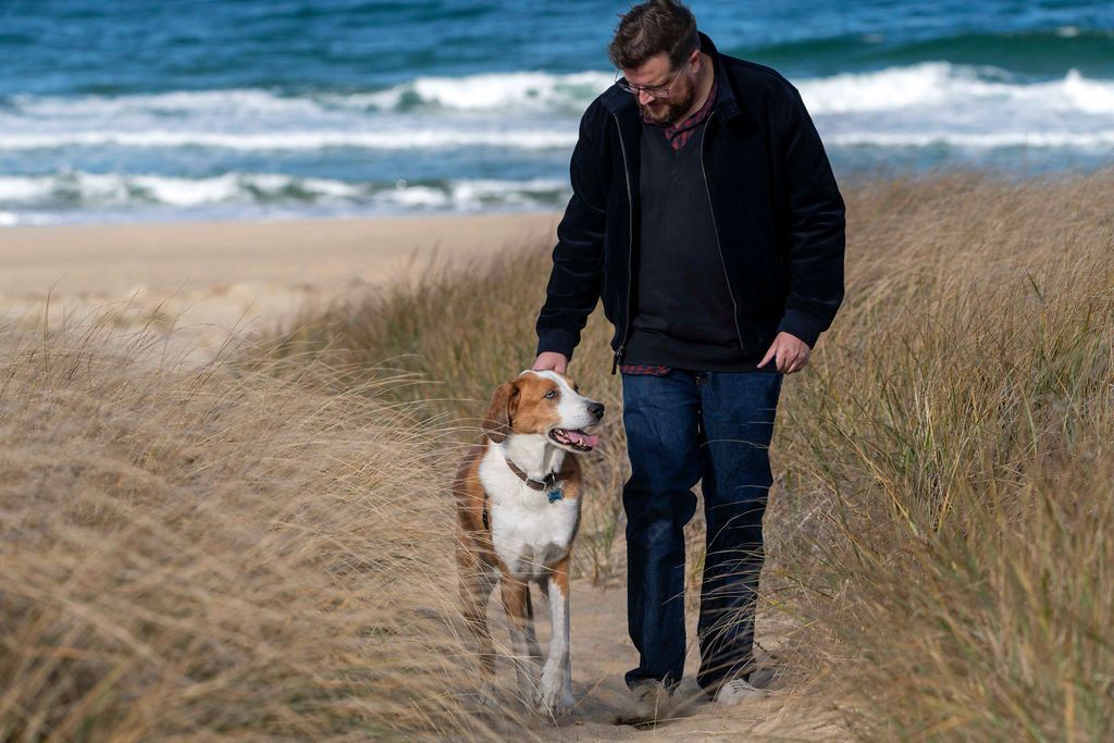 A dog walks along a sandy beach path with tall grass and ocean waves visible.