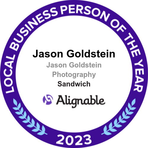 A row of circular purple and white business badges or award emblems with text and laurel wreath designs.