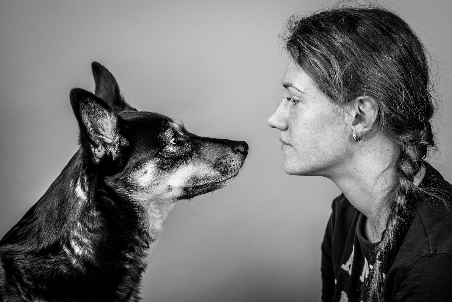 Alberta Dog Photographer near me. Pet Portrait Photographer in Red Deer, Alberta