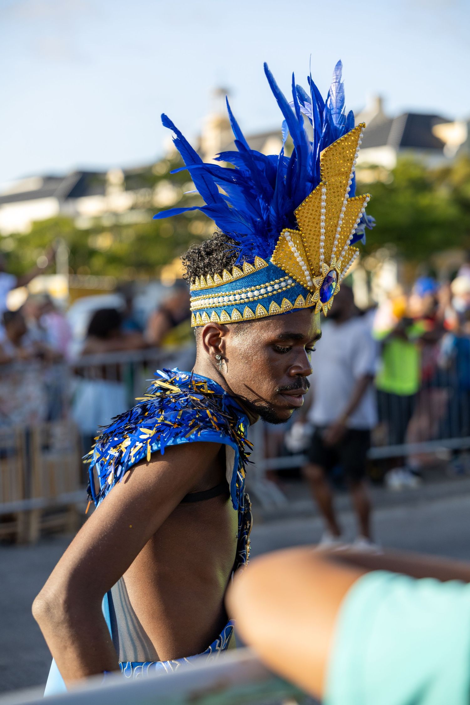 Performer wearing ornate blue feathered headpiece and traditional costume during street festival.