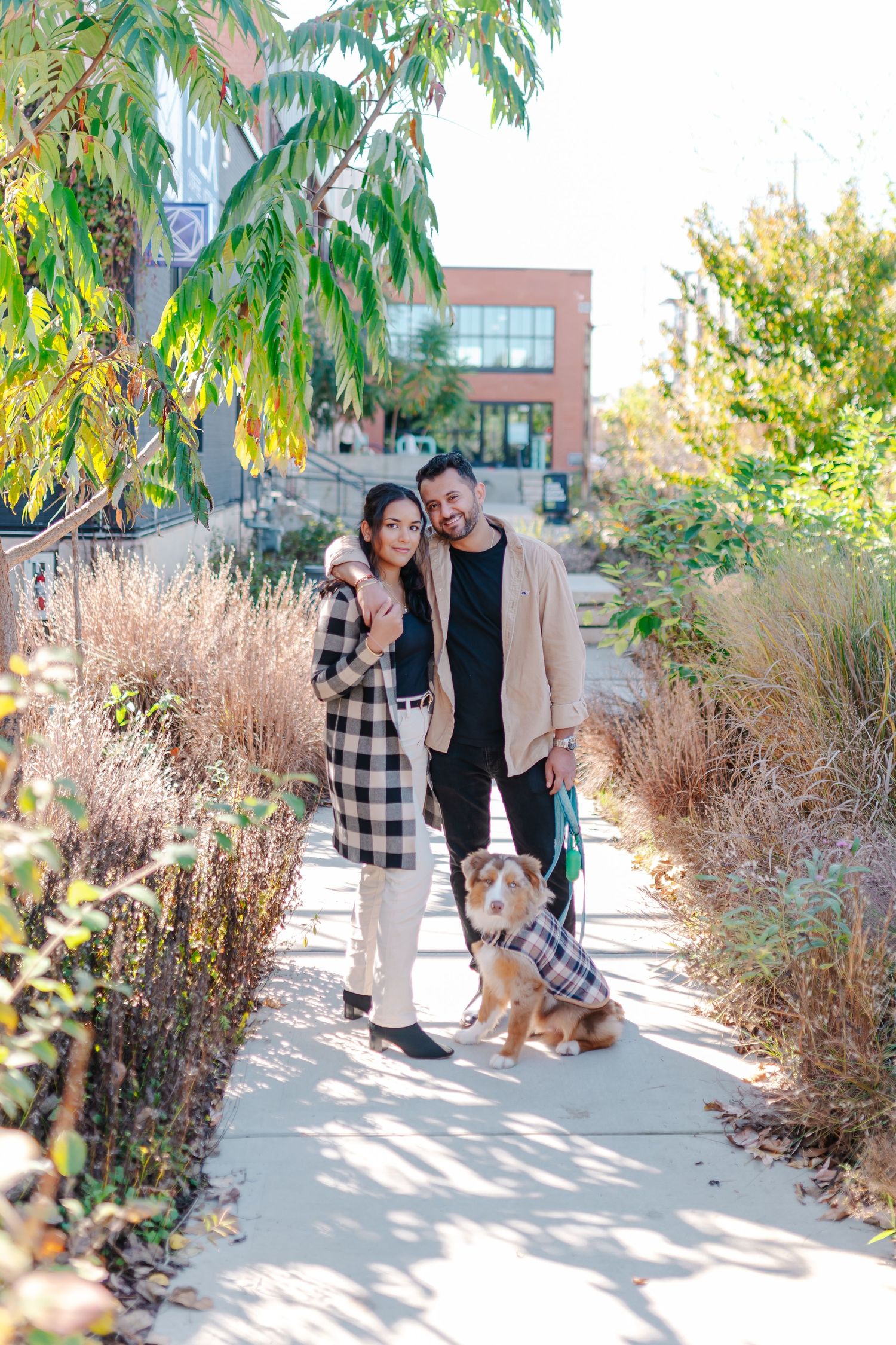 Couple poses outdoors with their dog on a sunny pathway lined with autumn grasses.