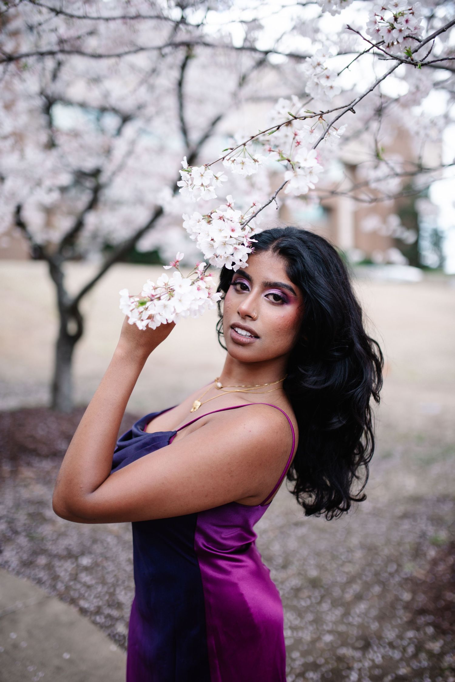 Portrait session among blooming cherry blossom trees with purple dress.