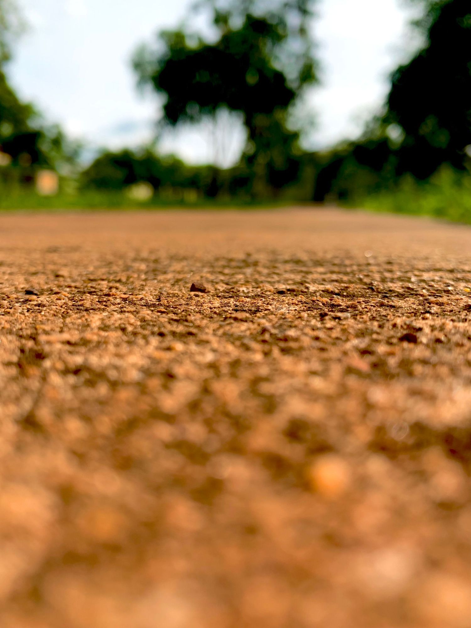Textured ground path:
Close-up of a textured dirt path with a blurred tree and greenery in the distance.