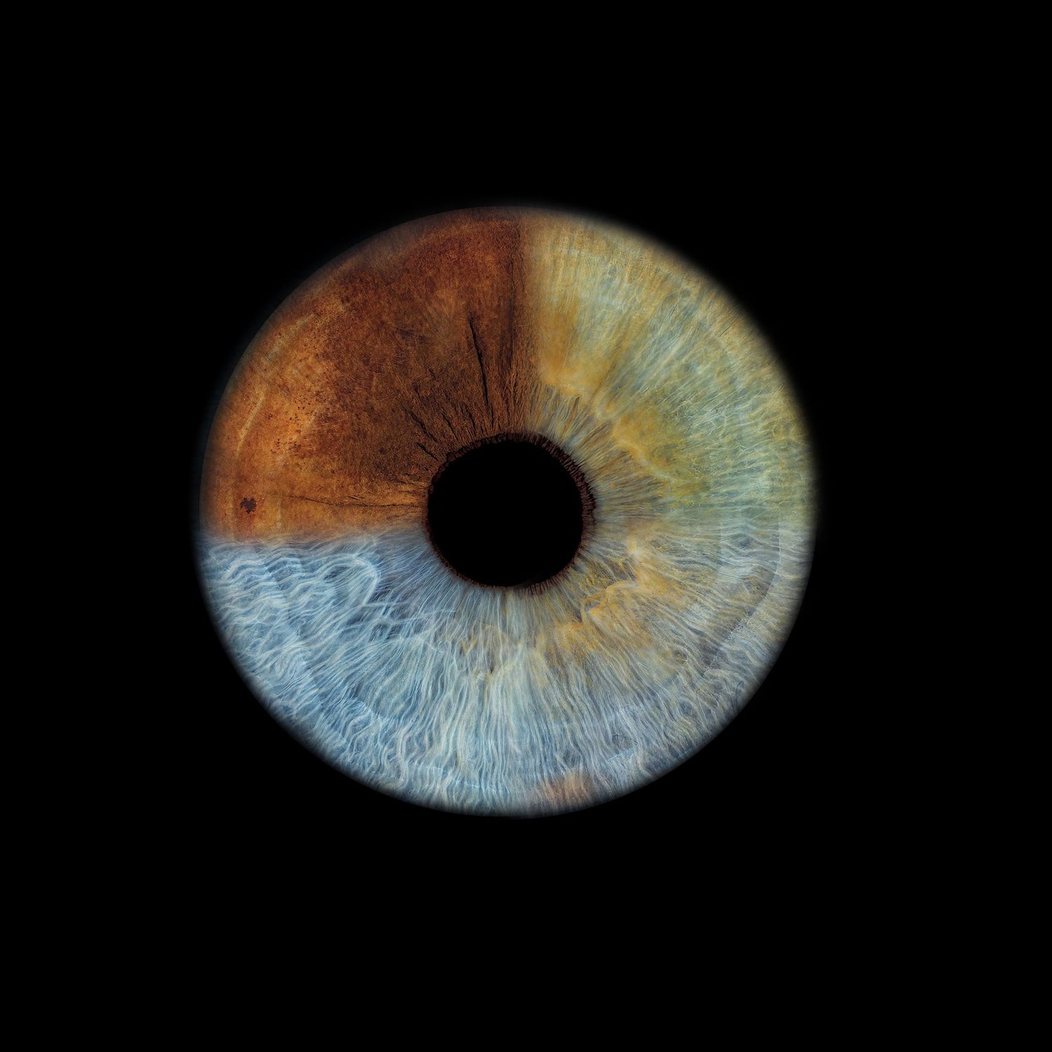 Close-up macro photograph of a human eye iris showing multicolored brown, blue, and green tones on black background.
