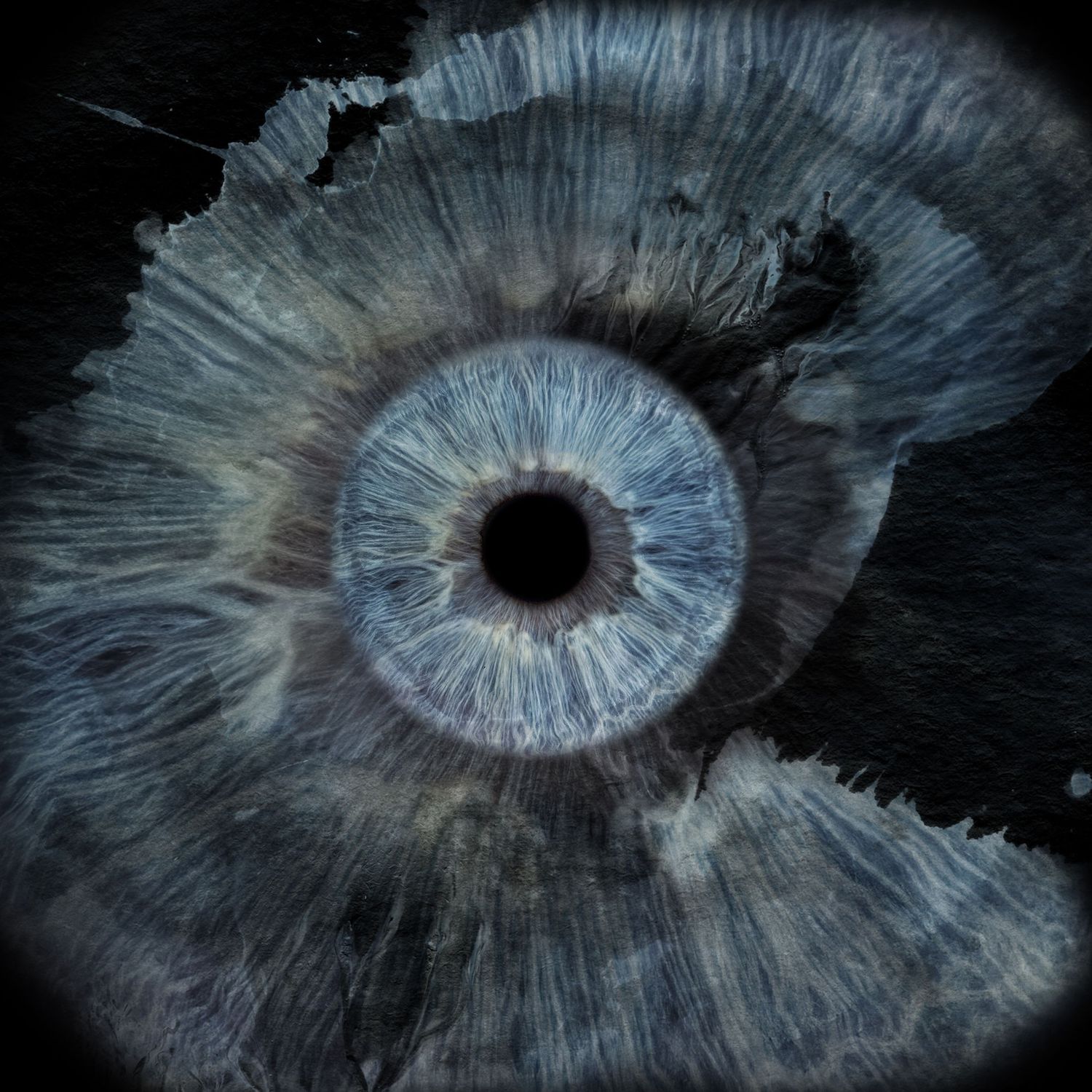 Close-up macro photograph of a blue human iris with dramatic dark textured edges on black background.