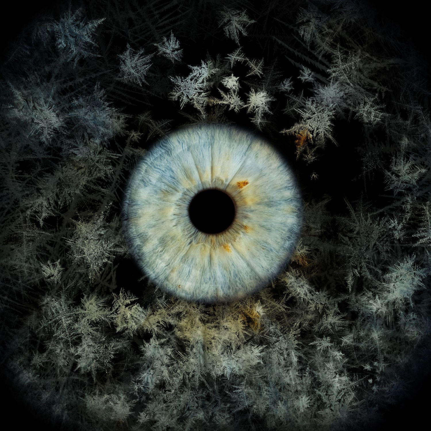 Dramatic macro photo of a blue human eye iris surrounded by frost crystal formations on dark background.