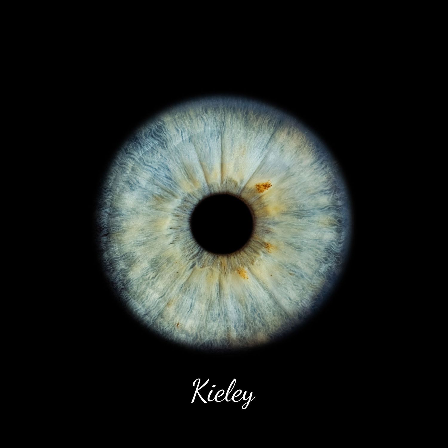 A close-up blue iris eye macro photograph labeled Kieley on a black background.
