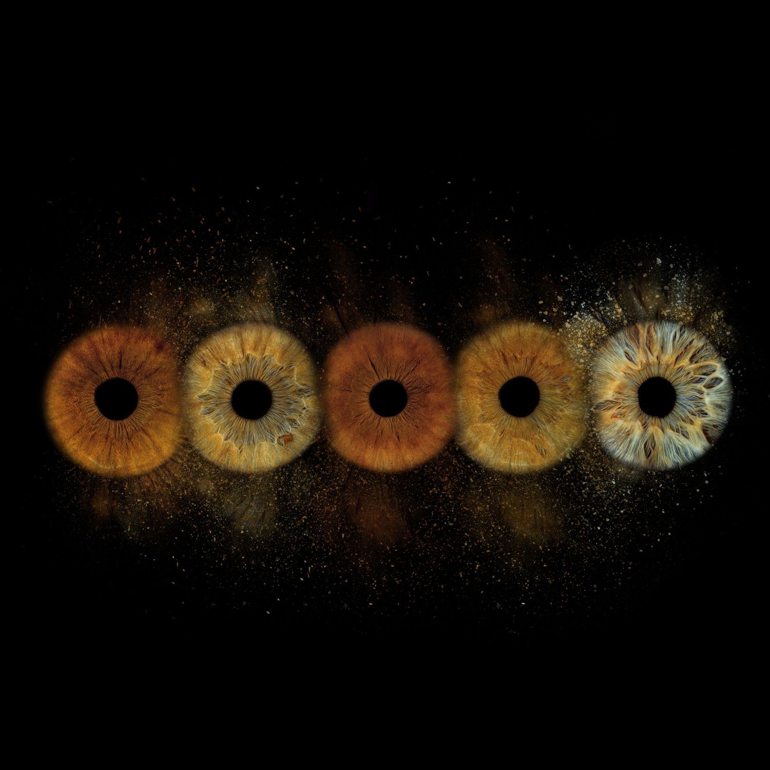 Five human irises ranging from warm amber to cool blue tones, displayed in a row against a dark background.