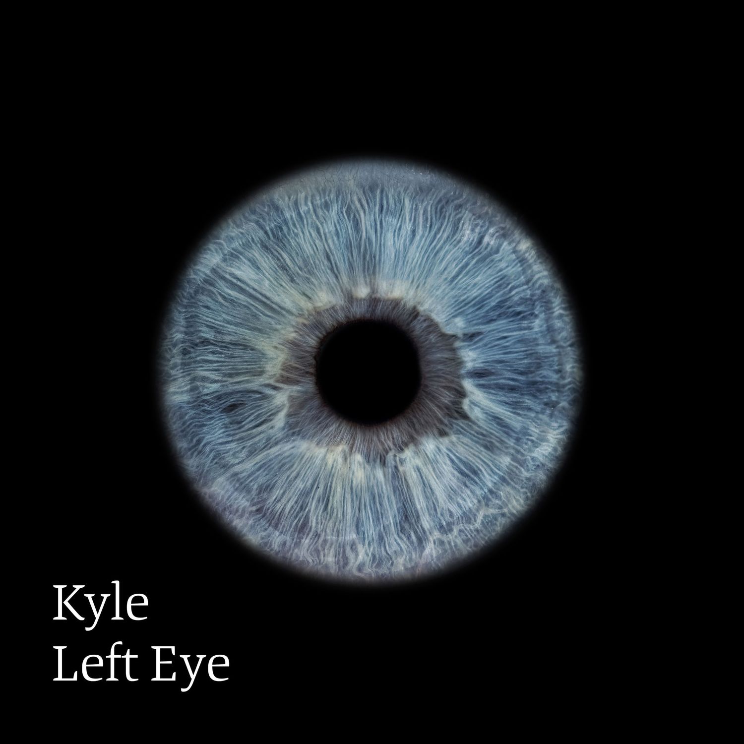 Macro close-up of Kyle's left eye showing detailed blue iris texture on black background.