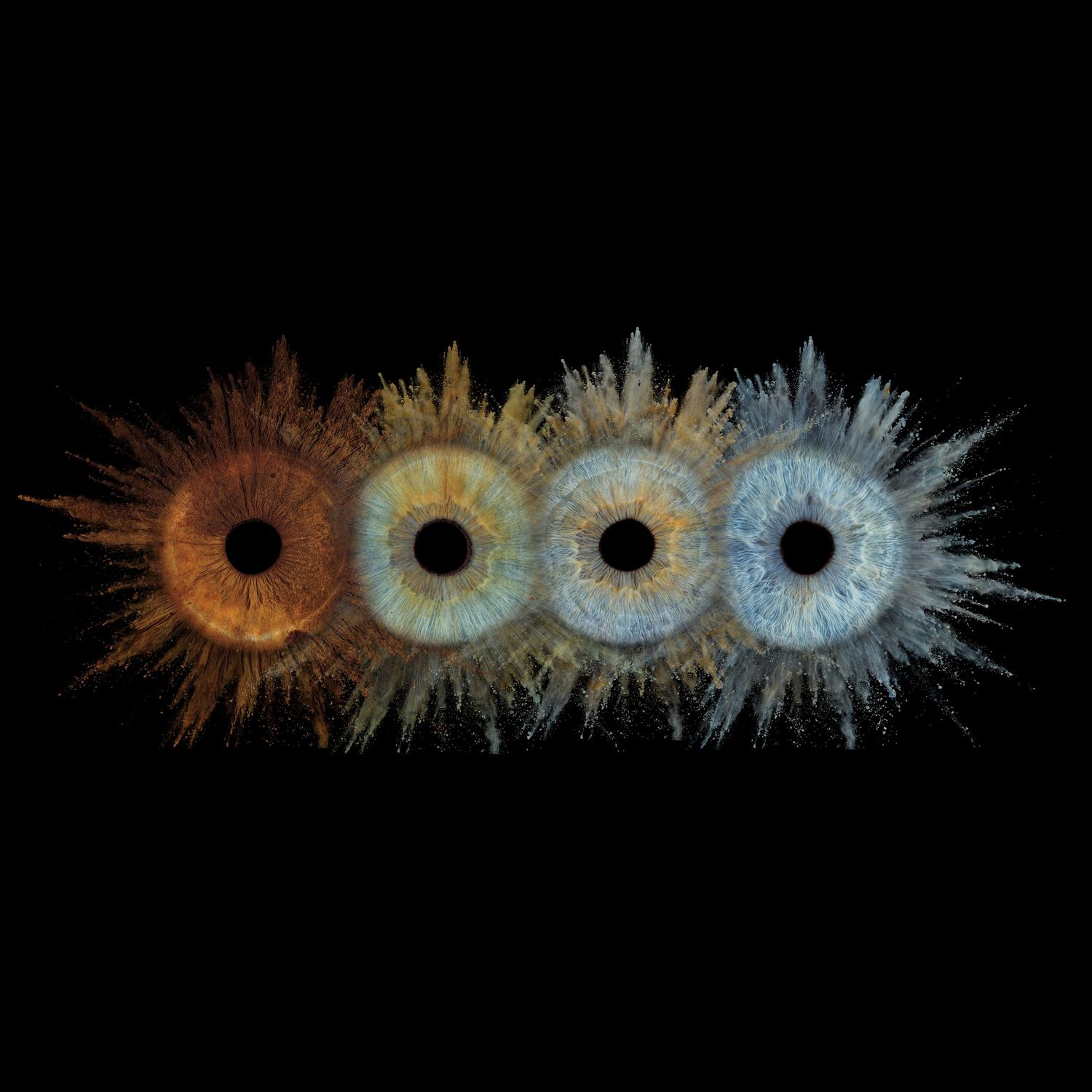 Four human eyes with varying iris colors from amber to blue, with dramatic fiber-like textures on black background.