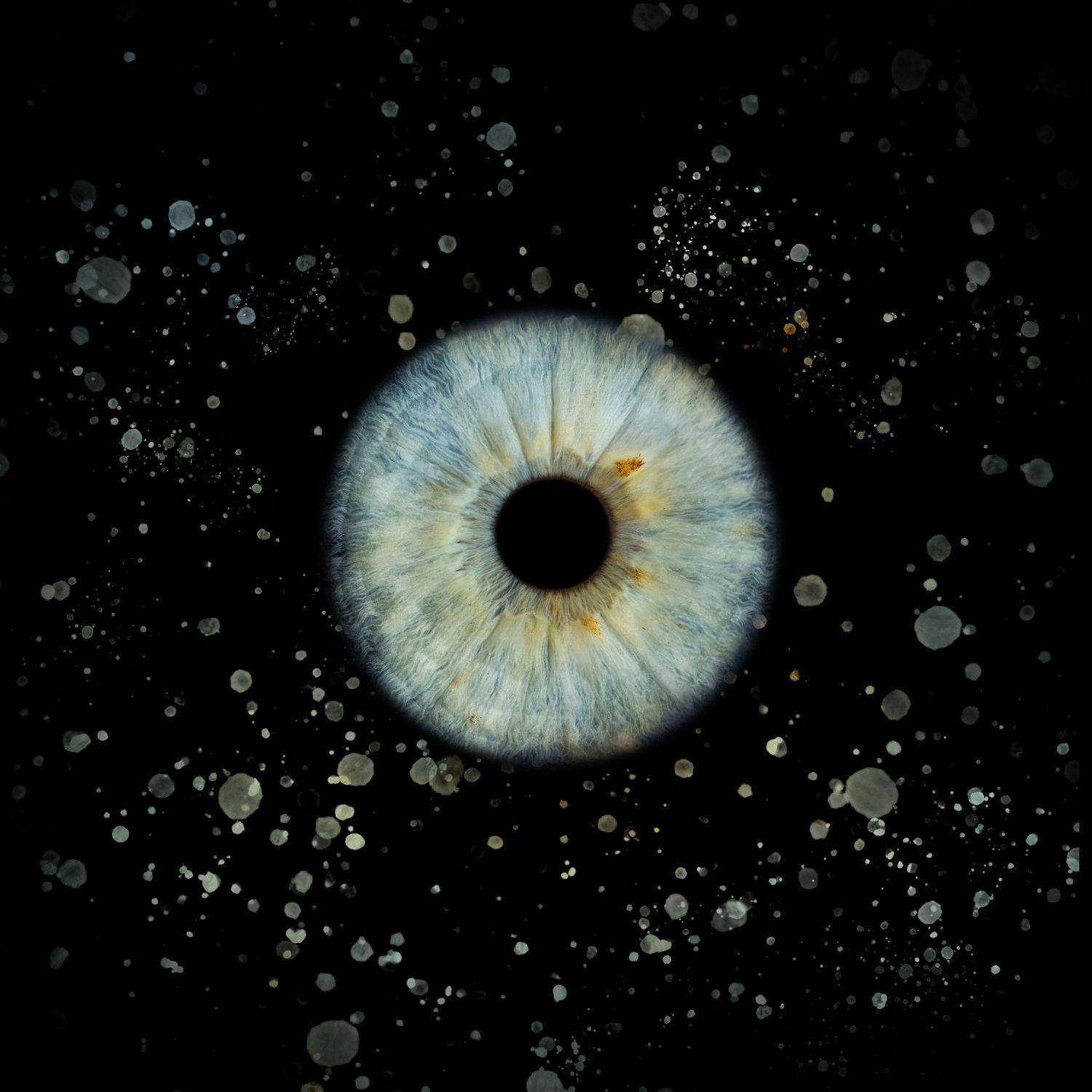 A detailed blue human iris eye macro surrounded by scattered light particles on black.