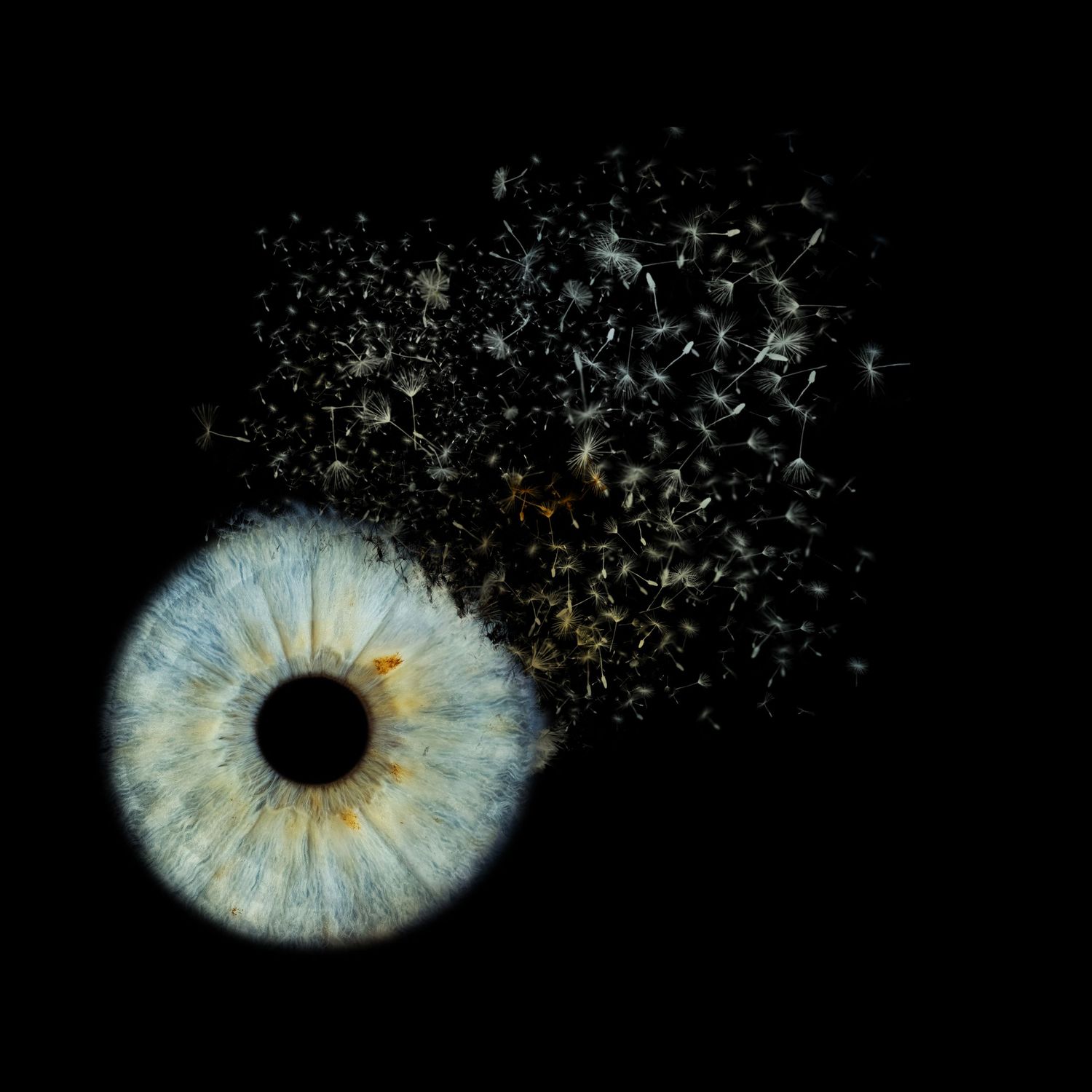 Macro photo of a blue human eye dissolving into particles on a black background.