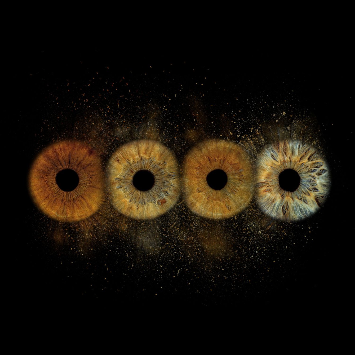 Four human eyes in a row with amber and blue irises on a black background with golden dust particles.