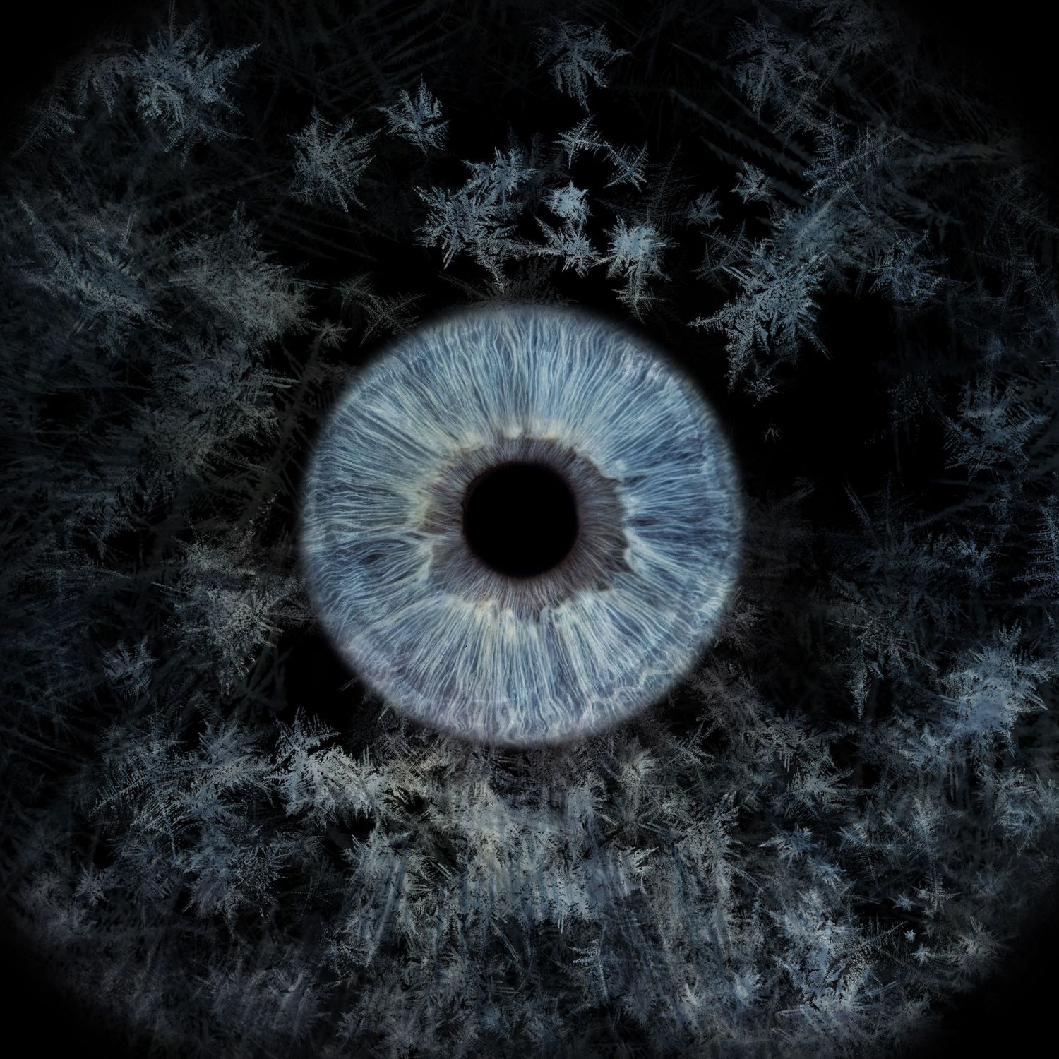 A blue human iris surrounded by intricate frost crystal patterns on a dark background.