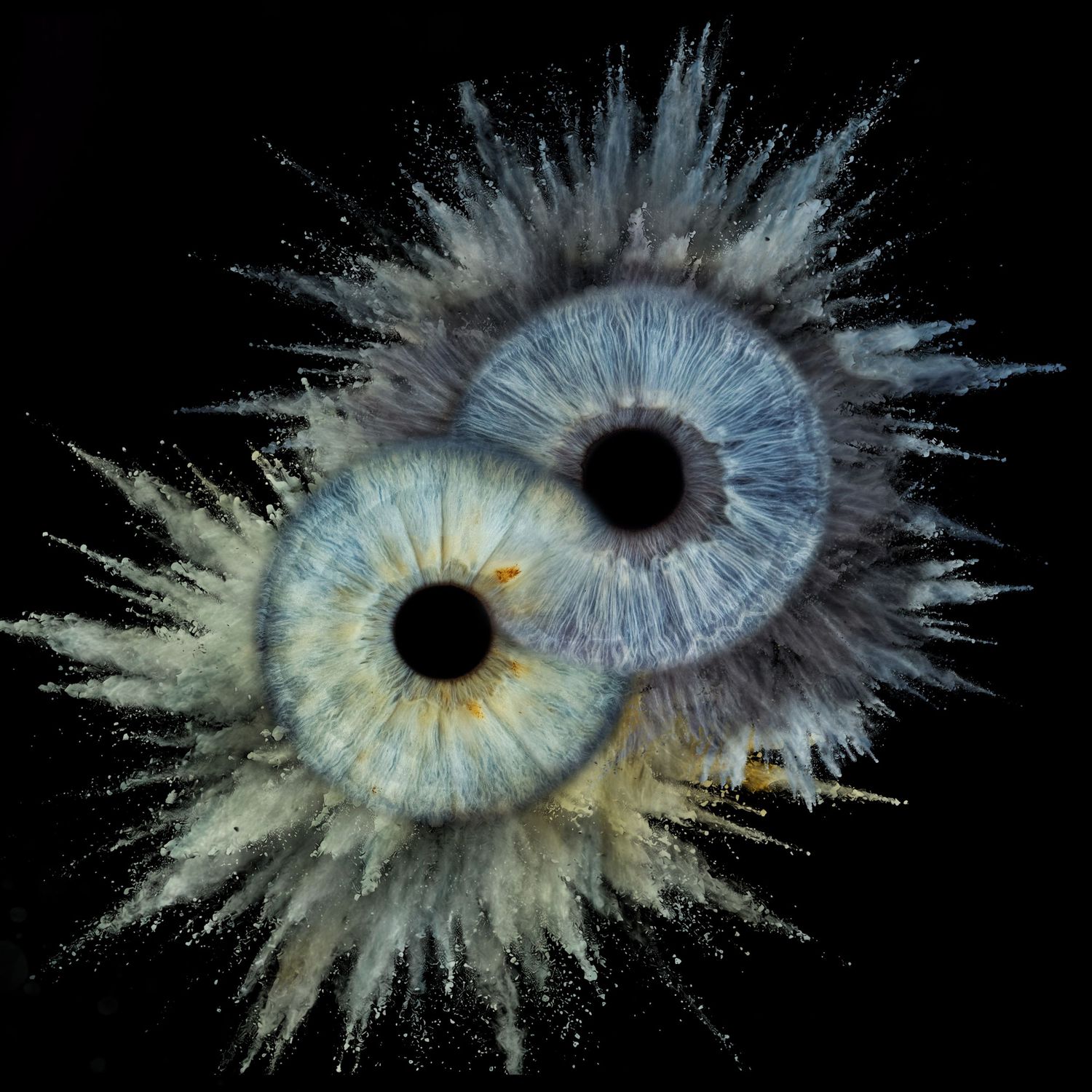 Two blue human irises with explosive powder burst effect on black background, macro photography art.