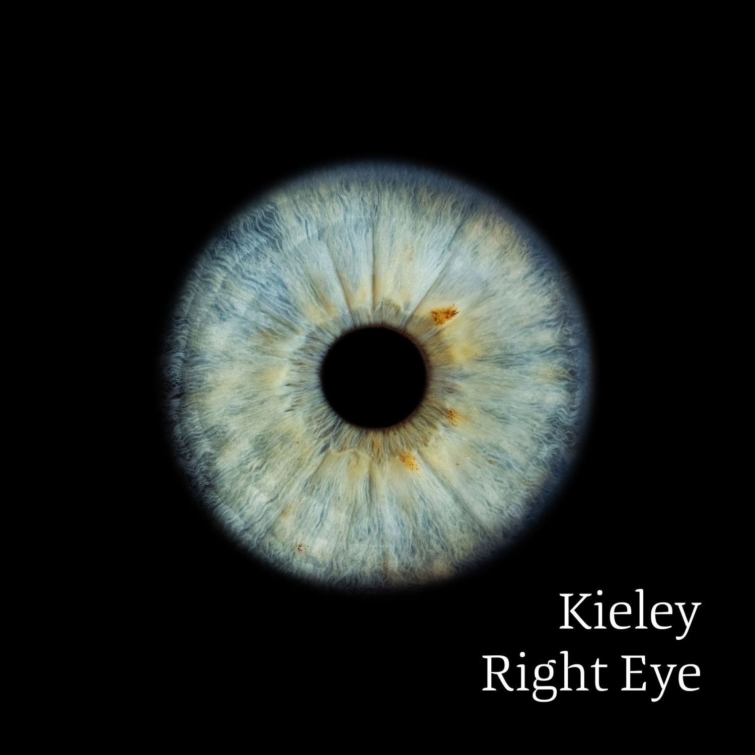 A detailed blue iris macro photograph labeled Kieley Right Eye on a black background.
