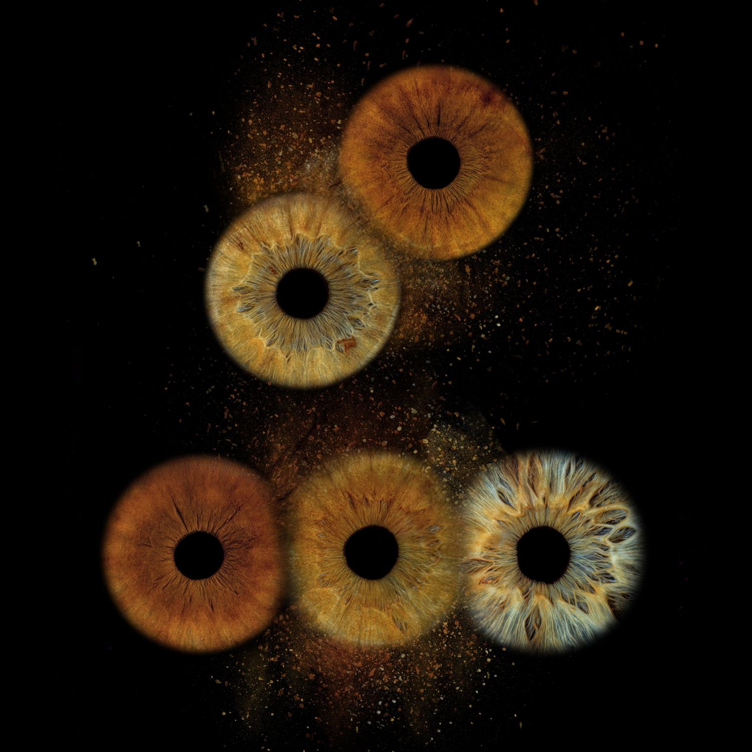 Five human irises in warm amber and brown tones arranged on black background with golden dust particles.